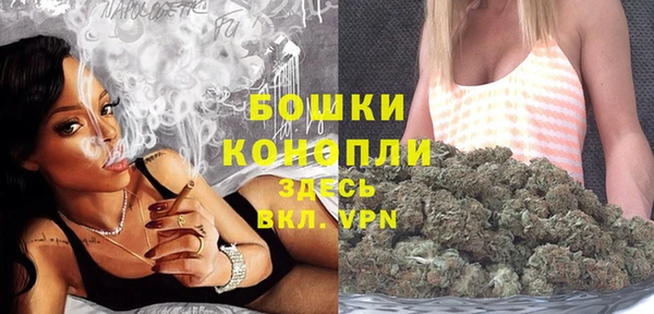 spice Дмитриев