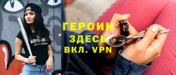 spice Дмитриев