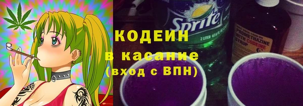 spice Дмитриев