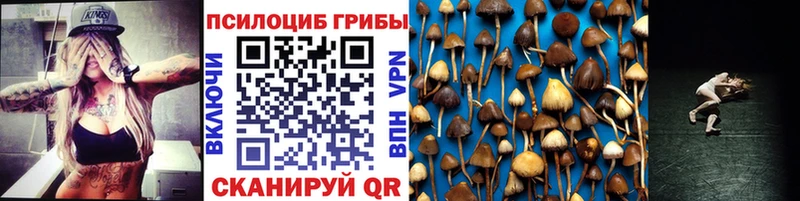 Галлюциногенные грибы GOLDEN TEACHER  Купить закладки  Змеиногорск 
